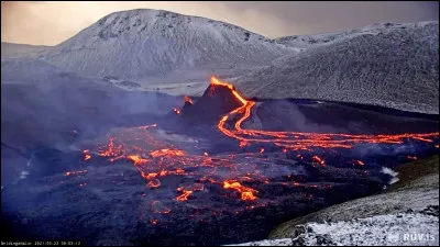 Choisissez la bonne écriture :