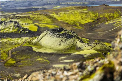 Quelle écriture est juste ?