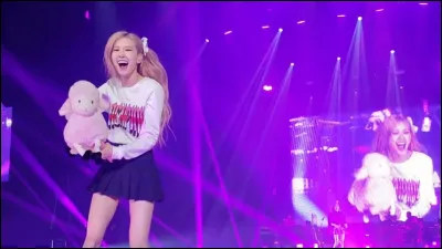 Le kimchi est un peu létendard de la cuisine coréenne et son mets le plus répandu, avec le bap (riz), bien sûr. As-tu déjà mangé de l'un de ces deux plats ?