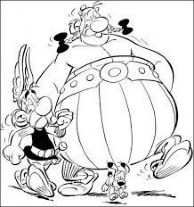 De quelles couleurs sont les braies d'Obélix ?