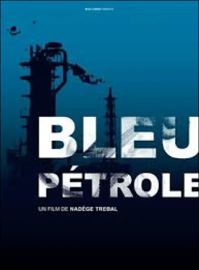 &Agrave; quel chanteur doit-on l'album "Bleu p&eacute;trole" ?