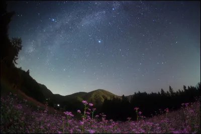 Dans quelle ville japonaise les Jeux olympiques d'hiver de 1998 ont-ils eu lieu ?