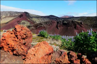 Choisissez l'écriture correcte :