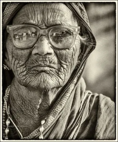 En vénerie, on appelait les fumées des vieux cerfs et des vieilles biches...