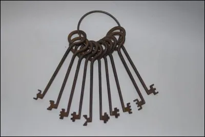 Le jacapani était une espèce d'oiseau. Lequel ?