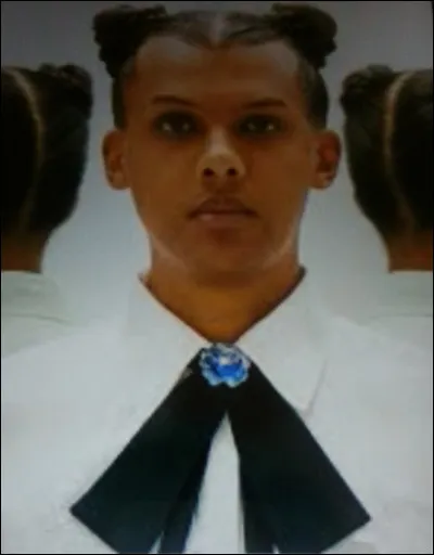Quel est le nom du chanteur Stromae ?