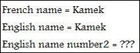 En Anglais, Kamek porte deux noms : le nom Kamek ainsi que le nom ...