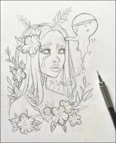 Qu'utilises-tu pour dessiner ?