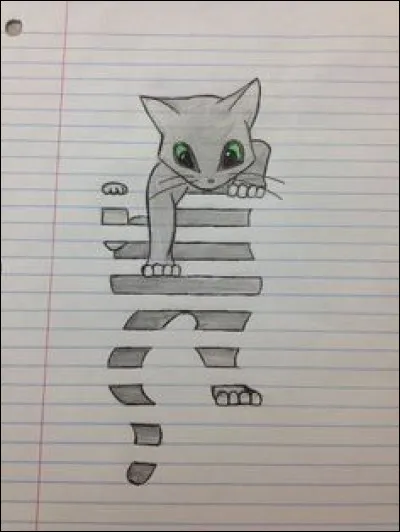 Pour toi, qu'est-ce que le dessin ?