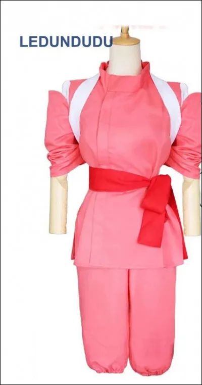 De quel film d'animation japonais provient cet habit ?