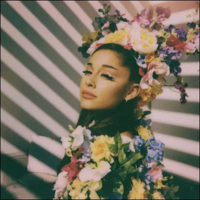 Quel son appartient a ariana ;