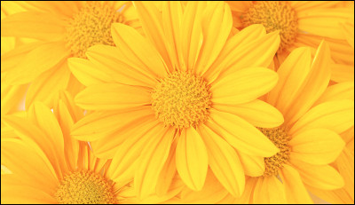 Quelle est cette couleur ?