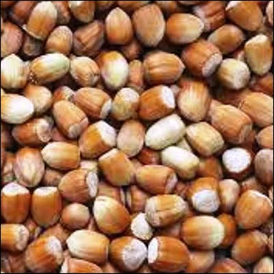 Quel insecte ravageur peut &ecirc;tre appel&eacute; balanin quand il s�attaque aux noisettes ou aux ch&acirc;taignes ?