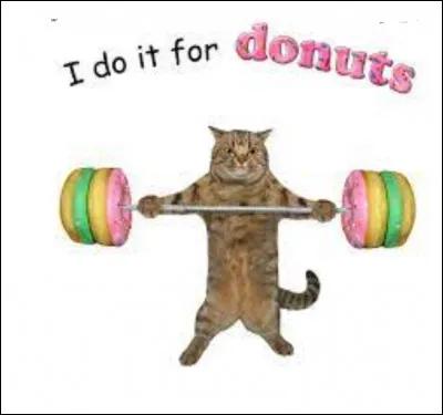 À la salle, que faites-vous ?