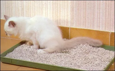 Vous préférez uriner...