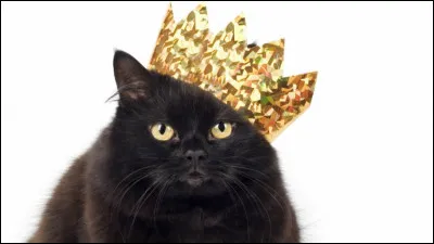 Votre modèle dans la vie, c'est...