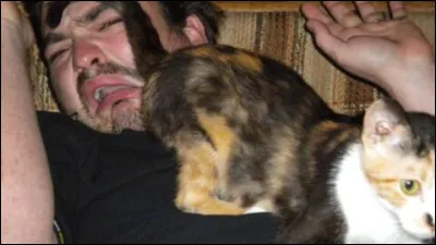 Comment sont vos pets ?