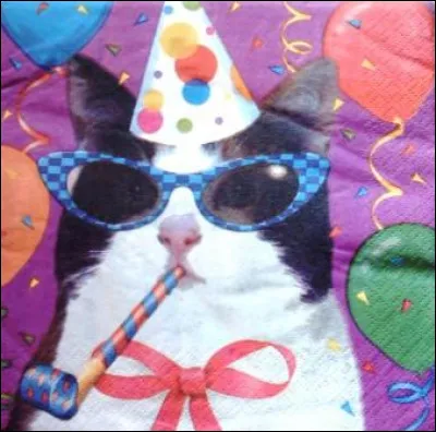 En soirée, que faites-vous ?