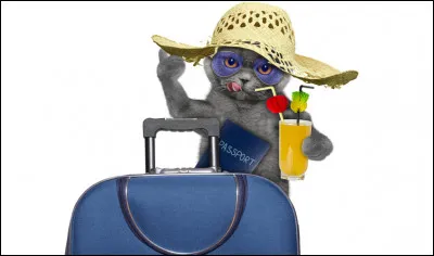 Pendant les vacances, que faites-vous ?