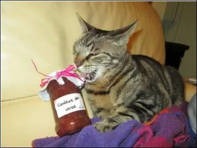 Votre confiture préférée est...