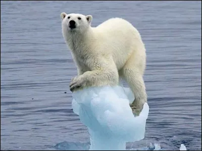 Et tout ça, cest à cause de nous !