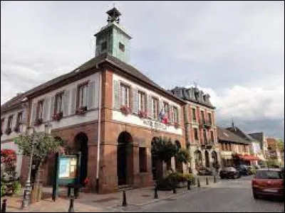 Je vous emmène à présent dans le Grand-Est, à Ingwiller. Ville du parc naturel régional des Vosges du Nord, elle se situe dans le département ...