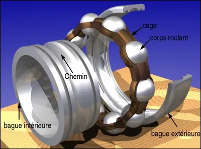 À quoi sert la cage représentée en brun sur ce schéma ?
