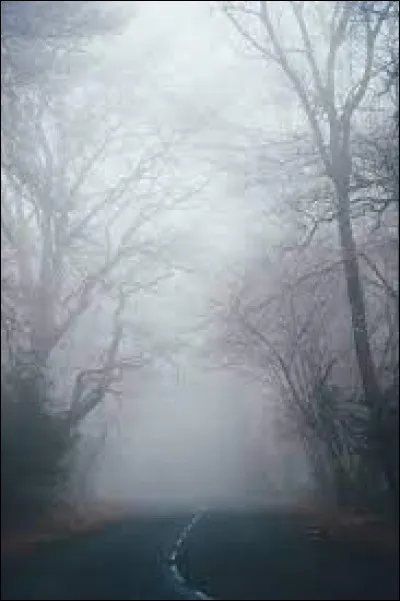 Quelle est l'origine du mot "brume" ?
