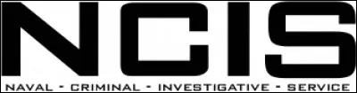 En quelle année la série "NCIS" a-t-elle été diffusée pour la première fois en France ?