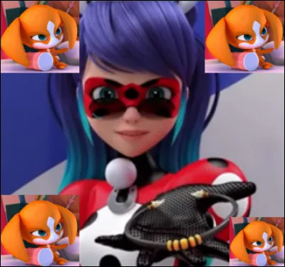 Dans le dernier épisode de la saison 4, notre héroïne confie le Miraculous du chien afin de retrouver l'objet où s'est logé l'Akuma. À qui le donne-t-elle ?