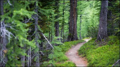 Quel est le code de la station Sentier ?