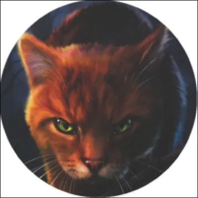 Quel âge a Étoile de Feu quand il meurt ?