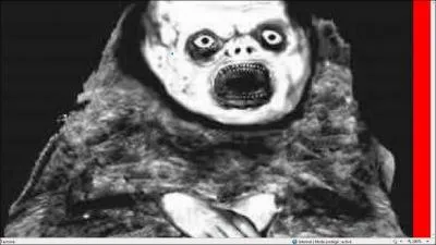 Que fallait-il faire avant que cette image apparaisse ?