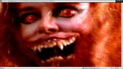 Que fallait-il faire avant que cette image apparaisse ?