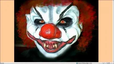 Que fallait-il faire avant que cette image apparaisse ?