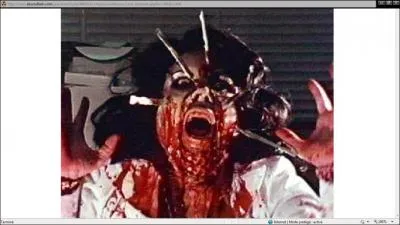 Que fallait-il faire avant que cette image apparaisse ?