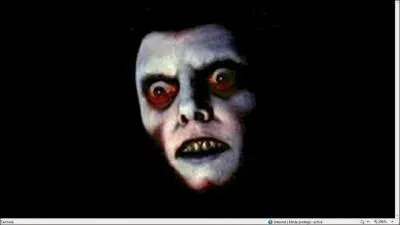 Que fallait-il faire avant que cette image apparaisse ?