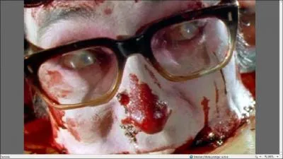 Que fallait-il faire avant que cette image apparasse ?