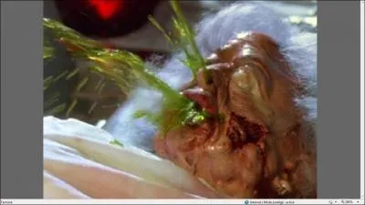 Que fallait-il faire avant que cette image apparaisse ?