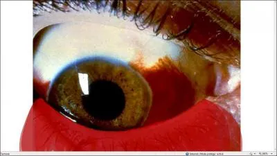 Que fallait-il faire avant que cette image apparaisse ?