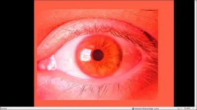 Que fallait-il faire avant que cette image apparaisse ?