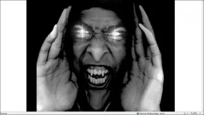 Que fallait-il faire avant que cette image apparaisse ?