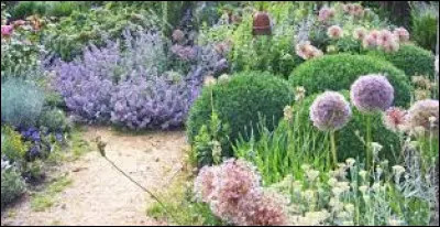 Aimez-vous jardiner ?