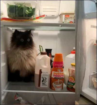 Aimez-vous rester chez vous ?