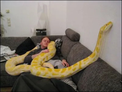 Oui, je sais, &ccedil;a fait peur, trouvez le mot myst&egrave;re !