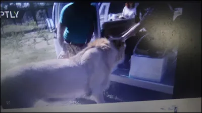 De v&eacute;ritables capacit&eacute;s litt&eacute;raires mais un penchant certain pour le crime, Pierre-Fran&ccedil;ois ...