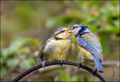 Perfide, sc&eacute;l&eacute;rat, diabolique, tortueux !