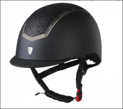 Quel est laccessoire montré sur la photo ?