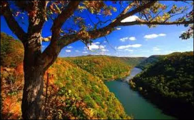 Virginie : Quel titre porte cet État comme trois autres États des États-Unis ?