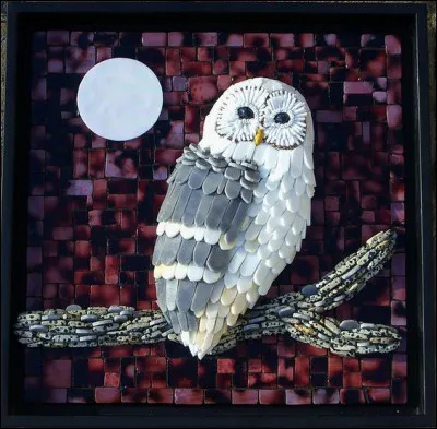 Quelle chouette est de couleur blanche ?